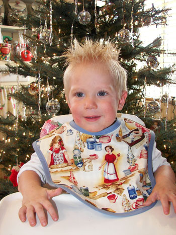 Family Kitchen Bib