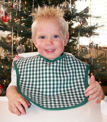 Denim Bib with Green Back