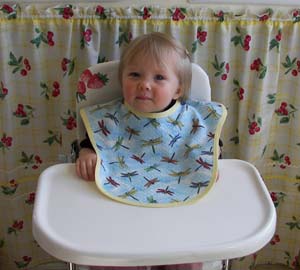 Dragonfly baby bib