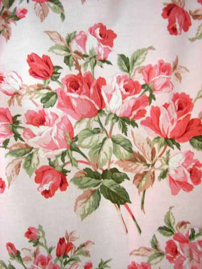 Lare Soft Pink Rose Close Up