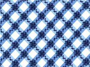 Old Fashioned Blue and White Kitchen Apron