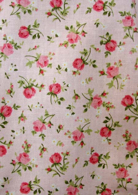 Pink Tea Rose Close Up