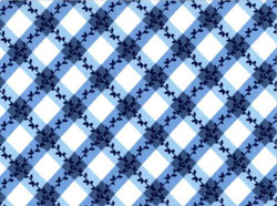 Old Fashioned Blue and White Kitchen Apron