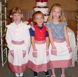 Desiree Half aprons.