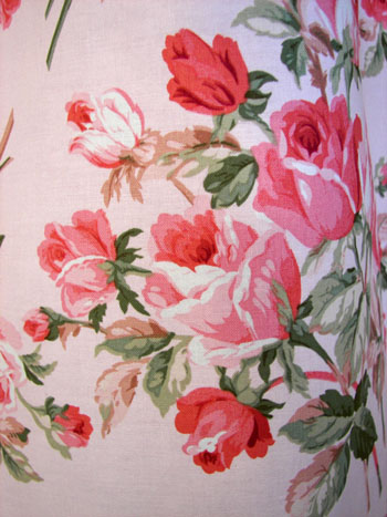Close Up Large Soft Pink Roses