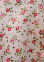 Pink tea Rose