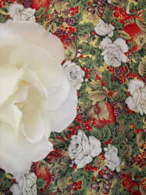 White Christmas Rose closeup
